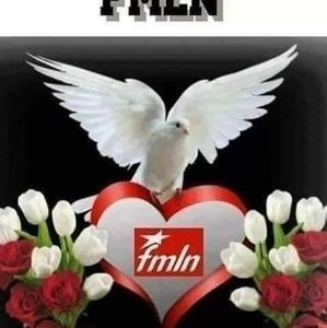 Meet your Posher, Paulo